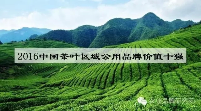 2016中国茶叶区域公用品牌价值十强出炉！
